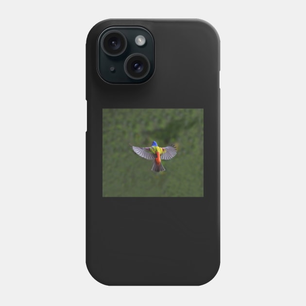 Painted Bunting Bird in Flight Phone Case by candiscamera