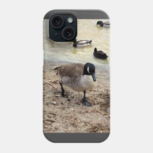 Canada Geese Walking Along a Beach Phone Case