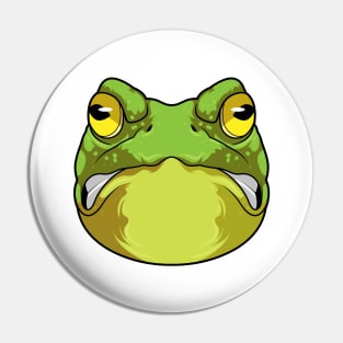 Frog with evil Eye Pin