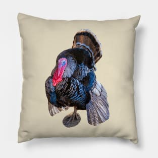 Tom Turkey show off Pillow