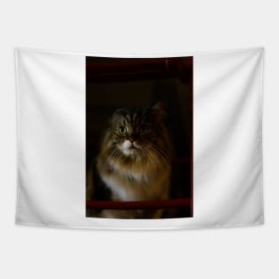 Cutie Cat Tapestry