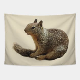 Squirrel, wildlife, Squirrely Cuteness Tapestry