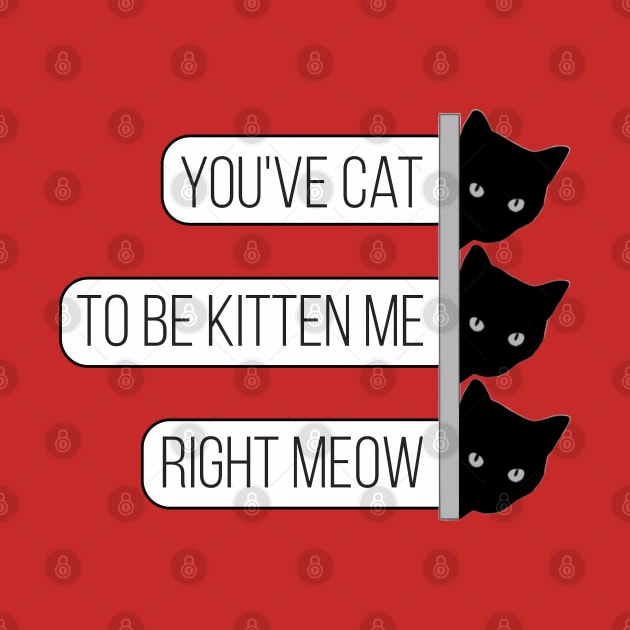 You've cat to be kitten me right meow - cute & funny pun by punderful_day
