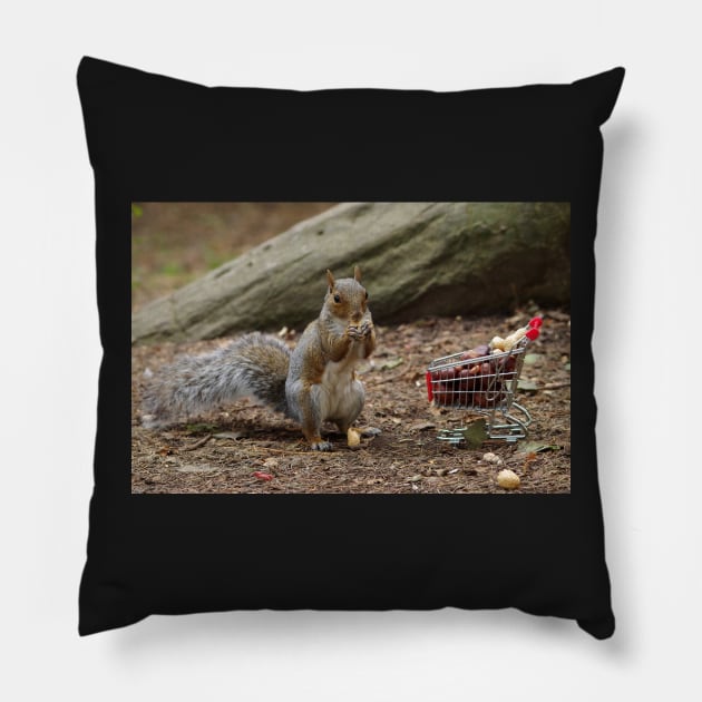 squirrel with shopping cart Pillow by Simon-dell