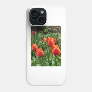 Tulips Phone Case