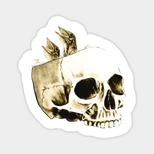 Birdnest skull Magnet