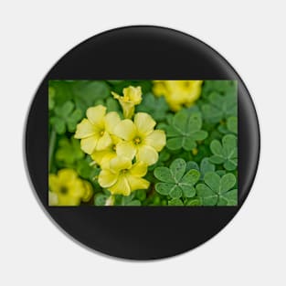 Yellow Flowered Clovers Pin