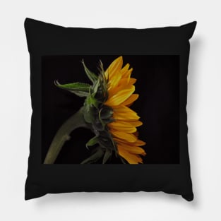 Sunflower Magic / Girasol Mágico Pillow