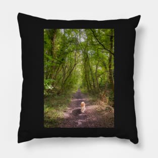 Woodland Walk Pillow