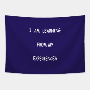 Learning from my Experiences Tapestry