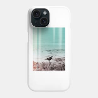 Shorebird Beach Vibes Phone Case