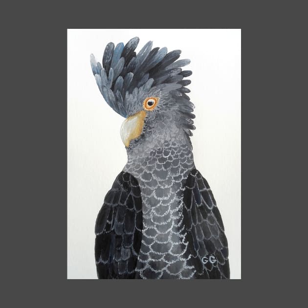 Black Cockatoo - bird art - painting by GarryGreenwood