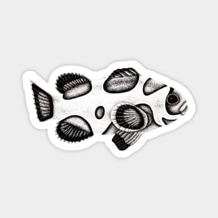 Orange storm clownfish drawing Magnet