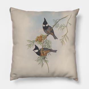 Perching Birds Pillow