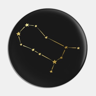 Astrology Constellation Zodiac Star Sign Gemini Pin