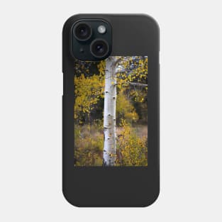 Aspen Bark Phone Case