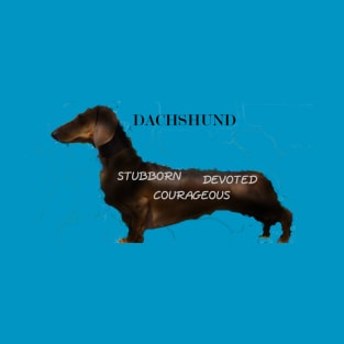 DACHSHUND T-Shirt