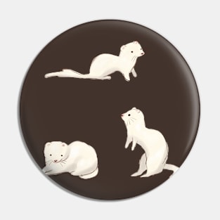 Ferret illustration Pin