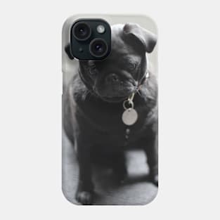 a little black pug Phone Case