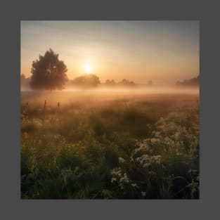 Sunrise over a green meadow fog rises in the summer T-Shirt