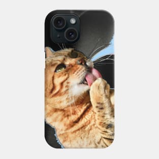 Bengal Katze 2 / Swiss Artwork Photography Phone Case