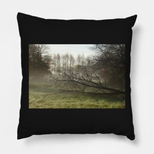 Lake, autumn mood, ground fog, hoarfrost, trees, landscape, Fischerhude, Lower Saxony, Germany Pillow