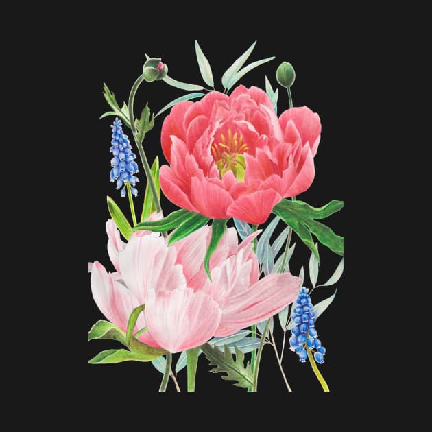 Colorful Pink Peony Botanical Illustration by amberafrazier