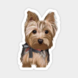 Cute Yorkshire Terrier Drawing Magnet