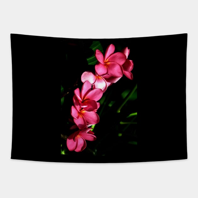 plumeria-flowers-lei-frangipani-floral-pink-blossom-flp-shirtyshirto-82 Tapestry by Shirty.Shirto