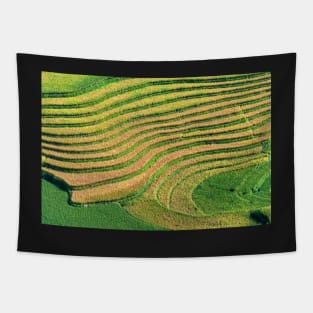 Rice Terrace3. Tapestry