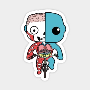 Kawaii Human Anatomy Riding A Bicycle Magnet