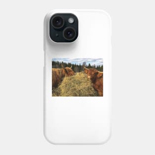 Scottish Highland Cattle Cows 2357 Phone Case