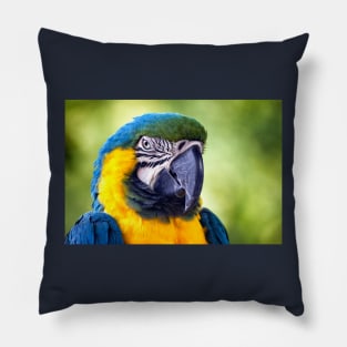 Macaw Parrot Pillow