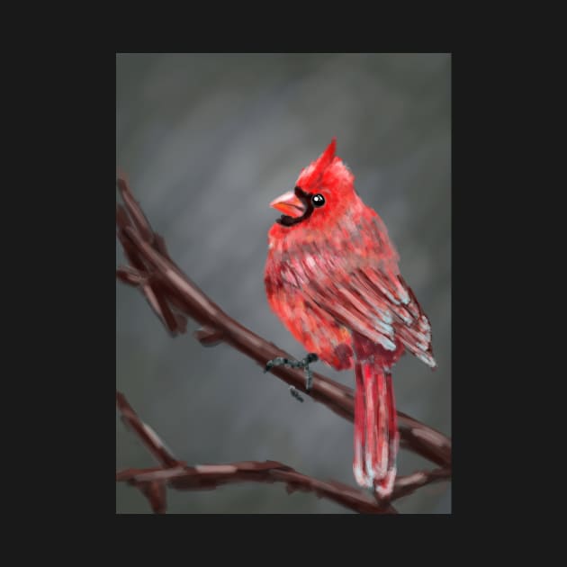 Red Cardinal by hannahnking