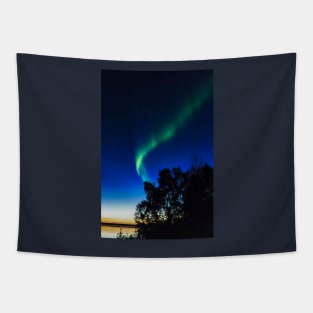 Polar lights Tapestry