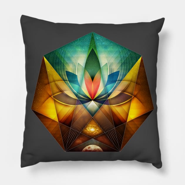 ∆ : Blossom Pillow by JetterGreen