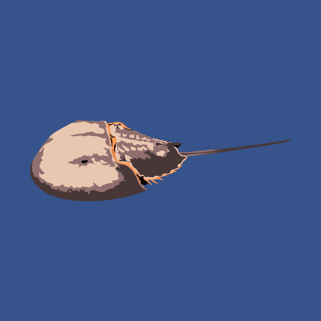 Horseshoe Crab by stargatedalek