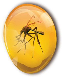 Mosquito in amber Magnet