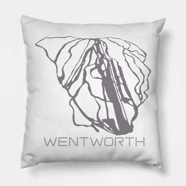 Wentworth Resort 3D Pillow by Mapsynergy