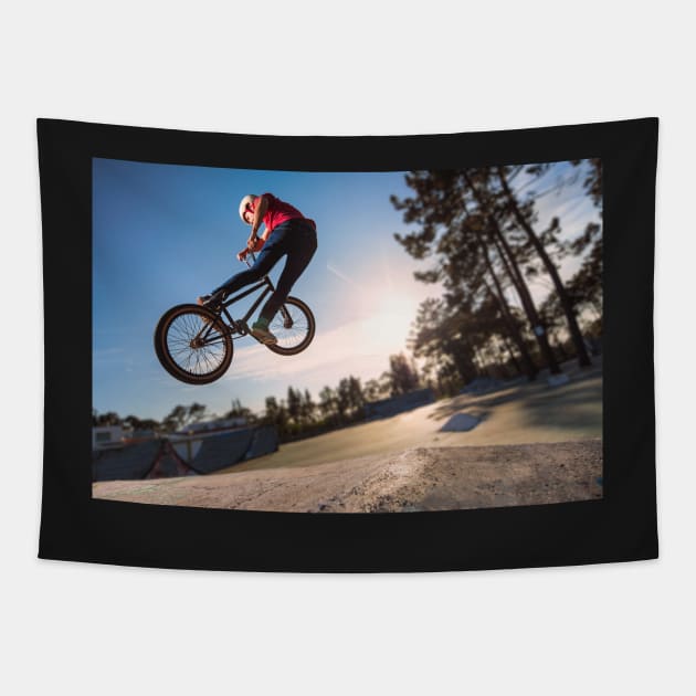 High BMX jump Tapestry by homydesign