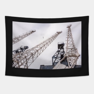 Old Cranes Tapestry