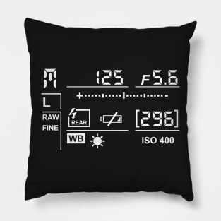 Camera Display Pillow