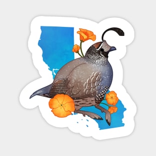 California Quail and Poppies Magnet