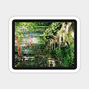 Steps in the Bamboo Forest Magnet