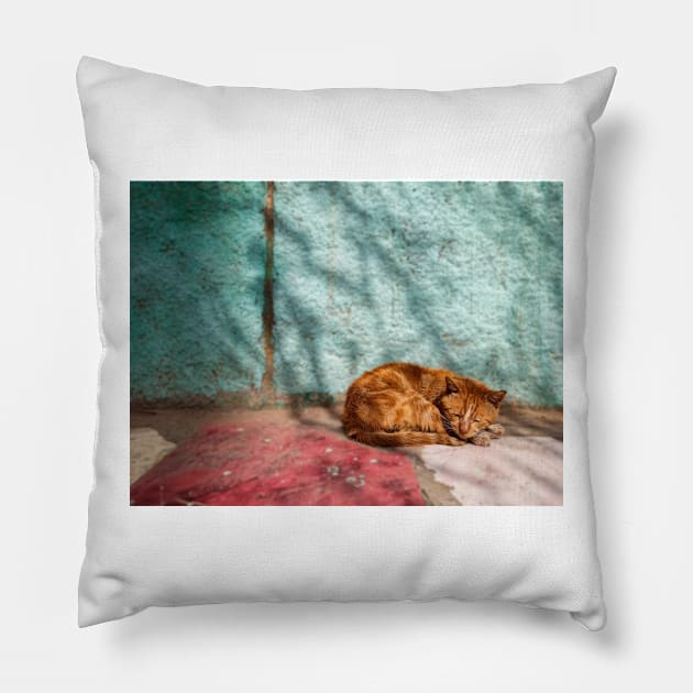 Cat orange sleep (naps) Pillow by mohamedayman1