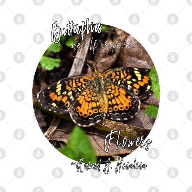 Pearl Crescent Butterfly by RoxanneG