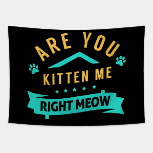 Are You Kitten Me Right Meow Tapestry