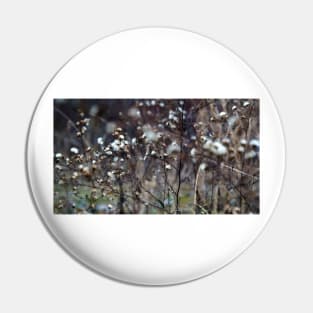 Winter Panicled Aster Pin