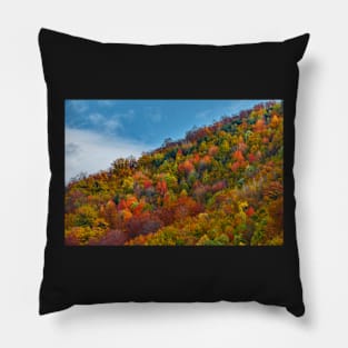 Colorful autumnal landscape Pillow