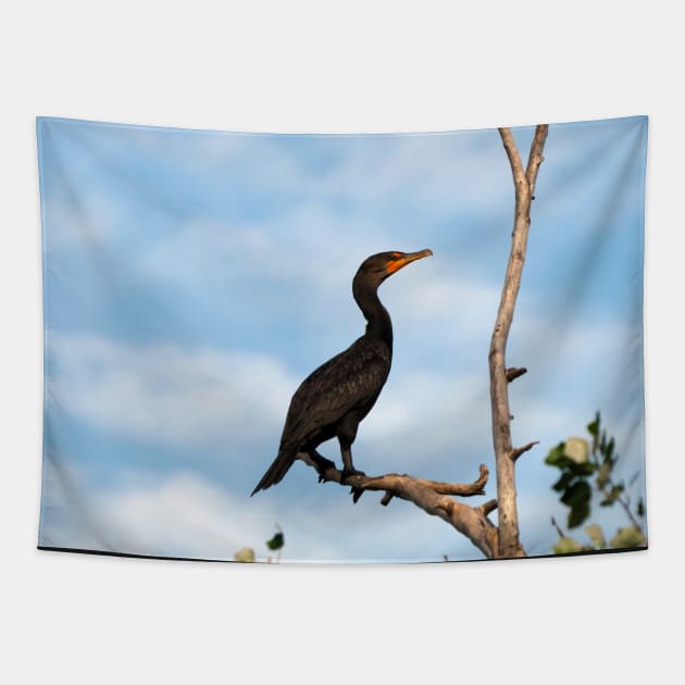 Double-crested Cormorant Perched On a Tree Branch Tapestry by BackyardBirder